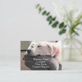 Carte De Visite Photo d'un chien blanc dormant mignon sur canapé (Debout devant)