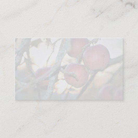 Carte de visite photo filigrane du photographe (Dos)