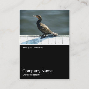 Carte De Visite Photo Half&Half 0178 - Cormoran