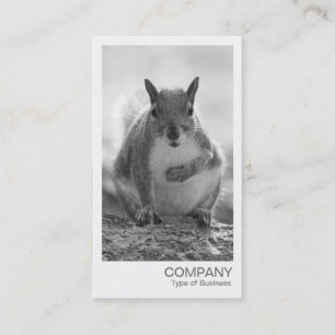 Carte De Visite Photo instantané - Écureuil NB