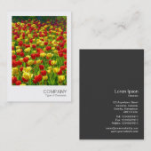 Carte De Visite Photo instantanée 017 - Tulipes (Devant / Derrière)
