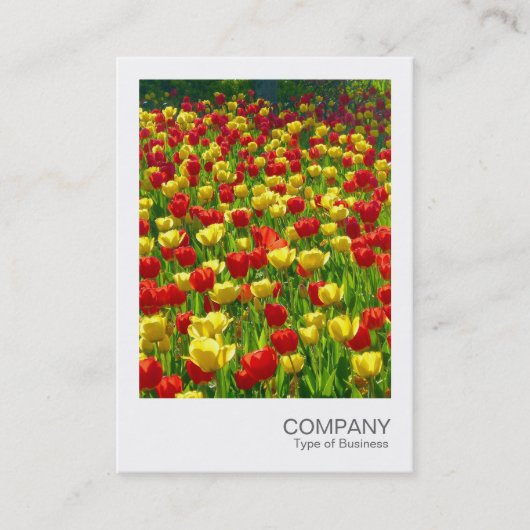 Carte De Visite Photo instantanée 017 - Tulipes (Devant)