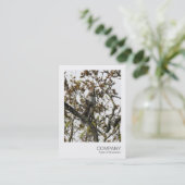Carte De Visite Photo instantanée 01 - L'écureuil dans un arbre (Debout devant)