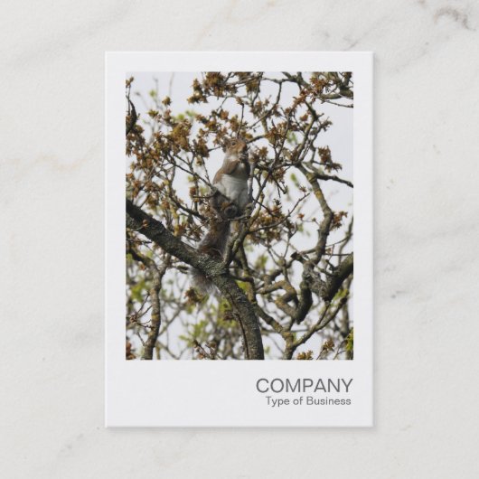 Carte De Visite Photo instantanée 01 - L'écureuil dans un arbre (Devant)