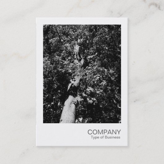 Carte De Visite Photo instantanée 025 - Arbre à plan (Devant)