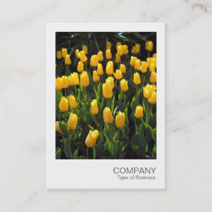 Carte De Visite Photo instantanée 03 - Tulipes jaunes
