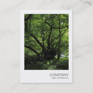 Carte De Visite Photo instantanée 043 - Arbre inhabituel