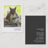 Carte De Visite Photo instantanée 044 - Écureuil gris (Devant / Derrière)