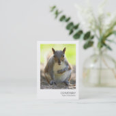 Carte De Visite Photo instantanée 044 - Écureuil gris (Debout devant)