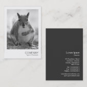 Carte De Visite Photo instantanée 045 - écureuil gris BW (Devant / Derrière)