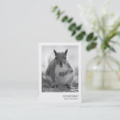 Carte De Visite Photo instantanée 045 - écureuil gris BW (Debout devant)