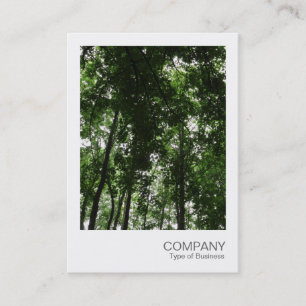 Carte De Visite Photo instantanée 048 - Canopée forestière 01