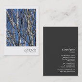 Carte De Visite Photo instantanée 05 - Branches de bouleau (Devant / Derrière)