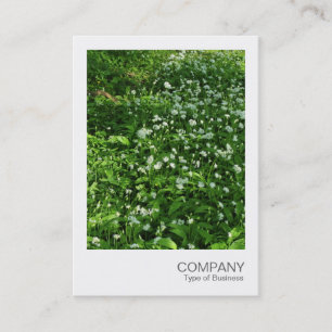 Carte De Visite Photo Instantanée 072 - Fleurs de Forêt