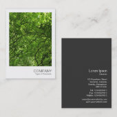 Carte De Visite Photo instantanée 079 - Canopée de bois (Devant / Derrière)