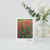 Carte De Visite Photo instantanée 086 - Lit de tulipes rouges 01 (Debout devant)