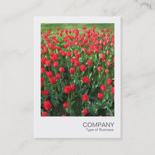 Carte De Visite Photo instantanée 086 - Lit de tulipes rouges 01 (Devant)