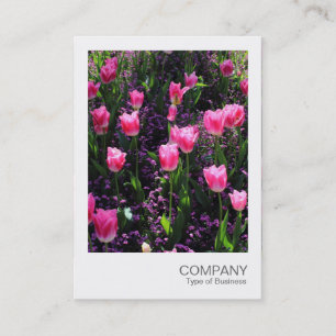 Carte De Visite Photo instantanée 089 - Lit de tulipes roses