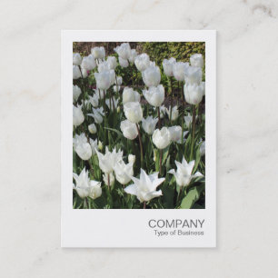 Carte De Visite Photo instantanée 090 - Tulipes blanches
