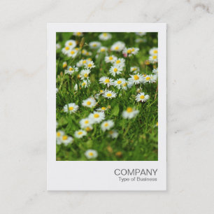 Carte De Visite Photo instantanée 091 - Daisy Meadow