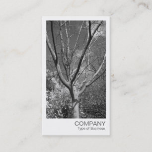 Carte De Visite Photo instantanée - Arbre dans le soleil