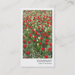 Carte De Visite Photo instantanée - Bed of Tulips
