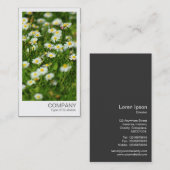 Carte De Visite Photo instantanée - Daisy Meadow (Devant / Derrière)