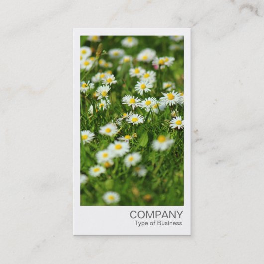 Carte De Visite Photo instantanée - Daisy Meadow (Devant)
