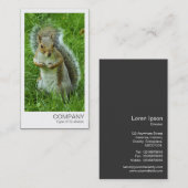 Carte De Visite Photo instantanée - Écureuil gris étoilé (Devant / Derrière)