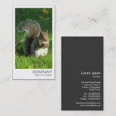 Carte De Visite Photo instantanée - Écureuil gris mange des noix (Devant / Derrière)