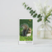 Carte De Visite Photo instantanée - Écureuil gris mange des noix (Debout devant)
