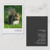 Carte De Visite Photo instantanée - Écureuil gris mange des noix (Devant / Derrière)