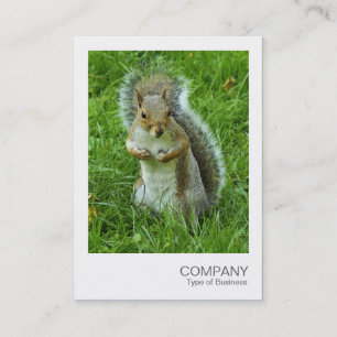 Carte De Visite Photo instantanée - Écureuil gris surpris