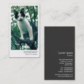 Carte De Visite Photo instantanée - Kitten dans un arbre Apple (Devant / Derrière)