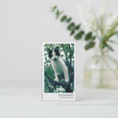 Carte De Visite Photo instantanée - Kitten dans un arbre Apple (Debout devant)