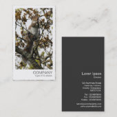 Carte De Visite Photo instantanée - L'écureuil dans un arbre (Devant / Derrière)