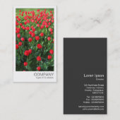 Carte De Visite Photo instantanée - Lit de Rouges Tulipes 01 (Devant / Derrière)