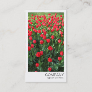 Carte De Visite Photo instantanée - Lit de Rouges Tulipes 01