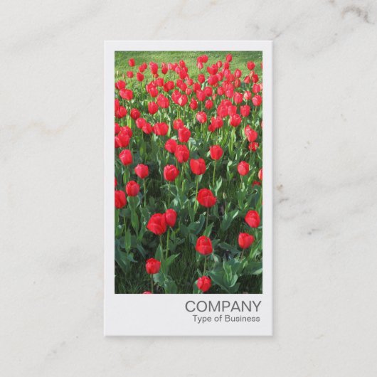 Carte De Visite Photo instantanée - Lit de Rouges Tulipes 01 (Devant)