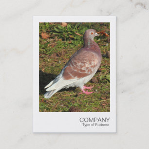 Carte De Visite Photo instantanée - Pigeon