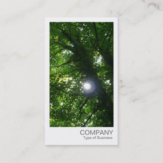 Carte De Visite Photo instantanée - Soleil à travers les arbres (Devant)