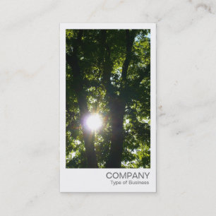 Carte De Visite Photo instantanée - Soleil à travers les arbres