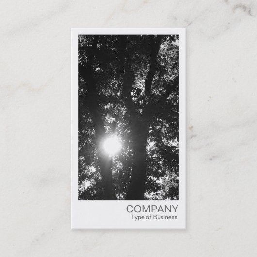 Carte De Visite Photo instantanée - Soleil à travers les arbres BW (Devant)