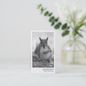 Carte De Visite Photo instantanée - Squirrel BW (Debout devant)