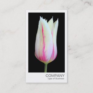 Carte De Visite Photo instantanée - Tulipe