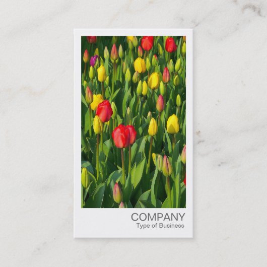 Carte De Visite Photo instantanée - Tulipes colorées (Devant)