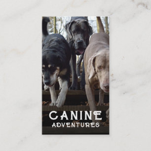 Carte de visite photo personnalisé Dog Walker