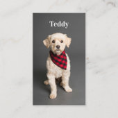 Carte De Visite Photo personnalisée Animal Chien Chien Chien Chien (Devant)