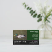 Carte De Visite Photo Pied - Canard à Majard (Debout devant)