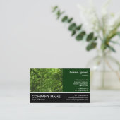 Carte De Visite Photo Pied - Canopée de bois (Debout devant)